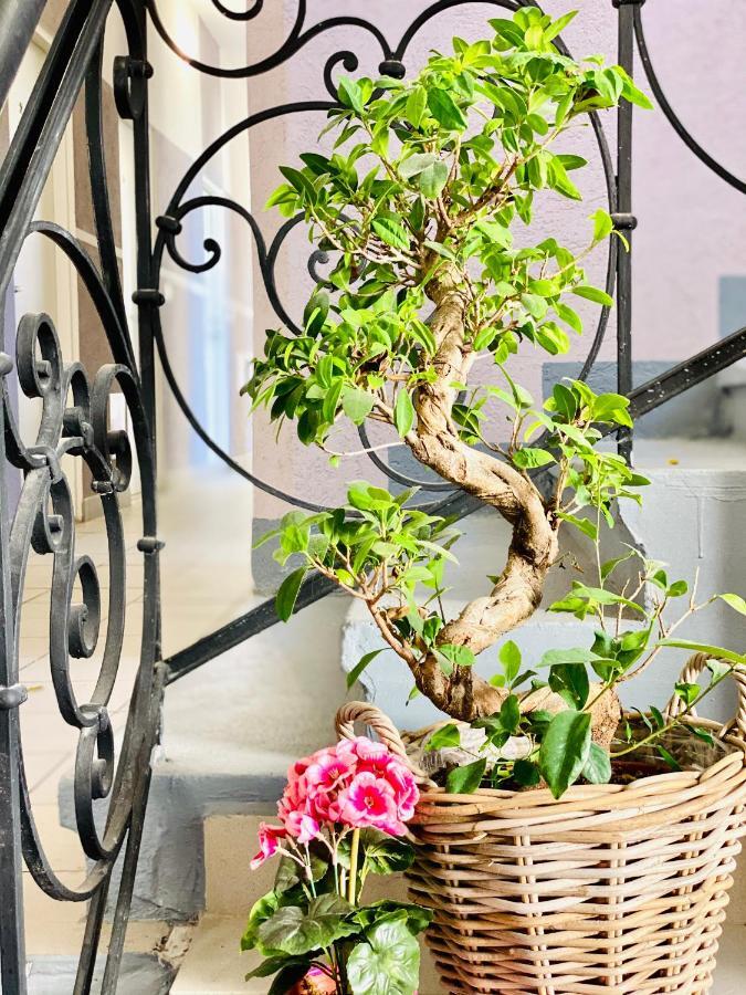 City Residence Rooms & Apartments Vienna Luaran gambar